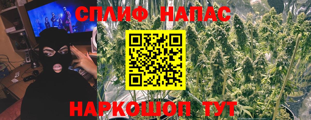 Канабис MAZAR Бузулук